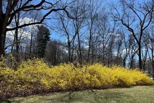 159 S Bradford St, North Andover, MA 01845 - Photo 35