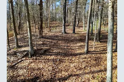 429 Howard Street, Northborough, MA 01532 - Photo 5