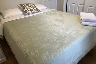 35 Grove St, Boston, MA 02116 - Photo 15