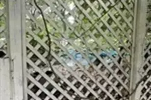 80 Bungalow St, Southwick, MA 01077 - Photo 15