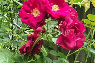 150 Webster Ave, Chelsea, MA 02150 - Photo 19