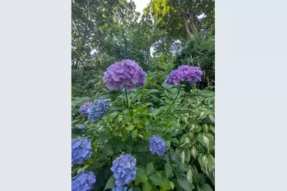 150 Webster Ave #3, Chelsea, MA 02150 - Photo 31