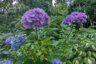 150 Webster Ave, Chelsea, MA 02150 - Photo 31