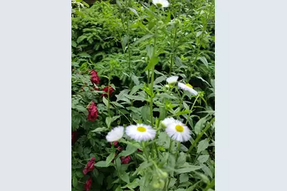 150 Webster Ave #3, Chelsea, MA 02150 - Photo 31