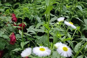 150 Webster Ave, Chelsea, MA 02150 - Photo 31