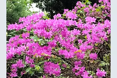 150 Webster Ave #3, Chelsea, MA 02150 - Photo 27