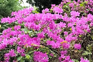 150 Webster Ave, Chelsea, MA 02150 - Photo 27