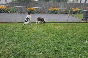 76 Church St, Fall River, MA 02724 - Photo 33