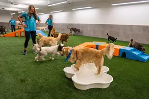 240 Devonshire St, Boston, MA 02110 - Photo 29