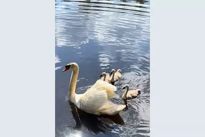 33 Lakeview Ave, Bellingham, MA 02019 - Photo 35