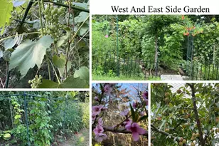 49 Quarry Rd, Acton, MA 01720 - Photo 35