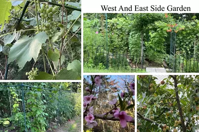 49 Quarry Rd #49, Acton, MA 01720 - Photo 35