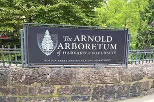 29 Goldsmith St, Boston, MA 02130 - Photo 17