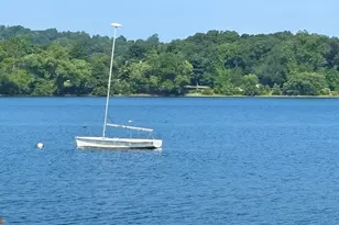 29 Goldsmith St, Boston, MA 02130 - Photo 13