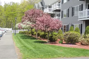 24 Greenleaves Dr, Amherst, MA 01002 - Photo 1