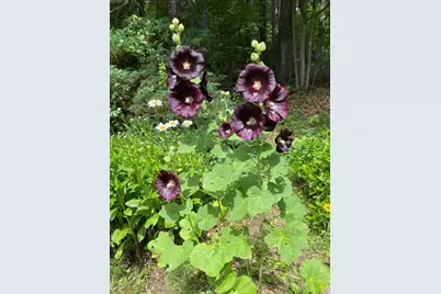 15 Rocky Pond Rd, Boylston, MA 01505 - Photo 7