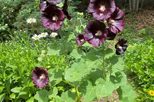 15 Rocky Pond Rd, Boylston, MA 01505 - Photo 7