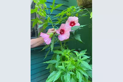 15 Rocky Pond Rd, Boylston, MA 01505 - Photo 11