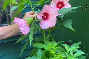 15 Rocky Pond Rd, Boylston, MA 01505 - Photo 11