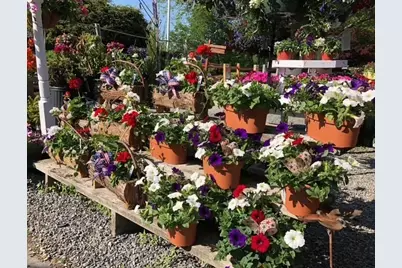 398 W Main St, Groton, MA 01450 - Photo 9