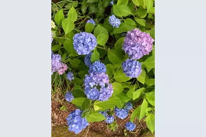 300 Falmouth Rd #6B, Mashpee, MA 02649 - Photo 27