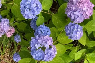 300 Falmouth Rd, Mashpee, MA 02649 - Photo 27