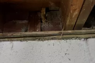 166 Grafton St, Brockton, MA 02301 - Photo 11