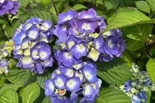 216 Gray Rd, Templeton, MA 01468 - Photo 31