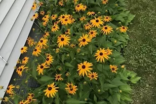 54 Jackson St, North Attleboro, MA 02763 - Photo 39