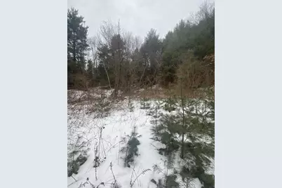 Lots 1&2 Wales Rd, Brimfield, MA 01010 - Photo 5