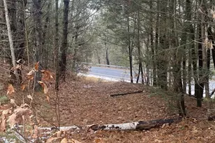 Lots 1&2 Wales Rd, Brimfield, MA 01010 - Photo 1