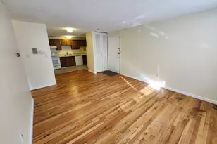 239 Kelton St, Boston, MA 02134 - Photo 3