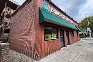 103 Savin Hill Ave, Boston, MA 02125 - Photo 1