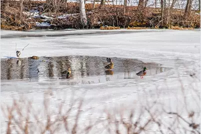 144 West St #14, Leominster, MA 01453 - Photo 21