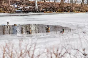 144 West St, Leominster, MA 01453 - Photo 21