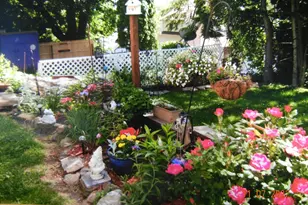 25 Wyola Dr, Worcester, MA 01603 - Photo 37