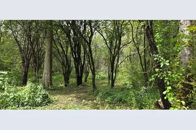 0 Miner Rd Lots 2 & 3, Lanesborough, MA 01237 - Photo 17