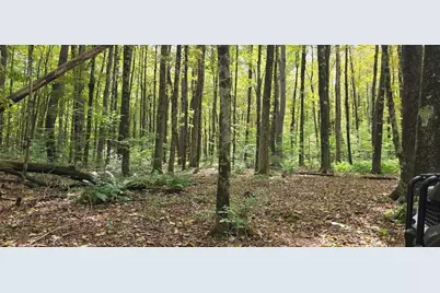 0 Miner Rd Lots 2 & 3, Lanesborough, MA 01237 - Photo 23