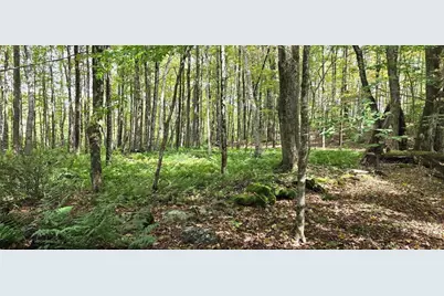 0 Miner Rd Lots 2 & 3, Lanesborough, MA 01237 - Photo 21