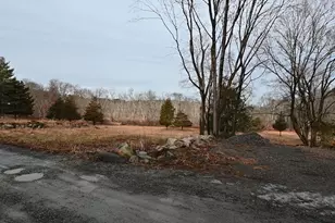 333 Cartwright Rd, Needham, MA 02482 - Photo 1