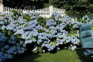 4 Dean Rd, Marblehead, MA 01945 - Photo 31