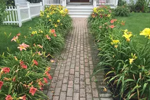 25 Fairhaven Rd, Concord, MA 01742 - Photo 39