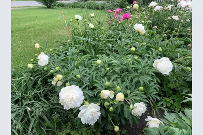 25 Fairhaven Rd, Concord, MA 01742 - Photo 9