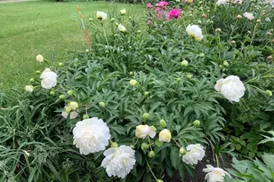 25 Fairhaven Rd, Concord, MA 01742 - Photo 9