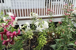 25 Fairhaven Rd, Concord, MA 01742 - Photo 37