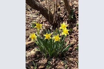 18 Windemere Road, Worcester, MA 01602 - Photo 35