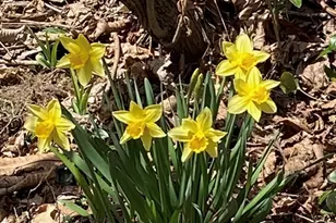 18 Windemere Rd, Worcester, MA 01602 - Photo 35