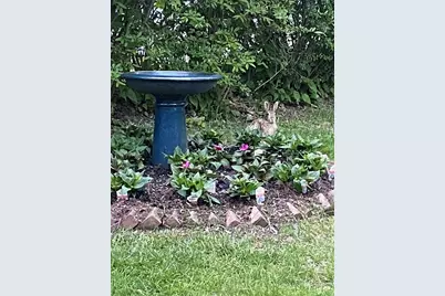 18 Windemere Road, Worcester, MA 01602 - Photo 37