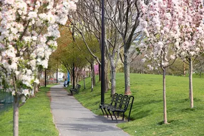 2 Earhart #402, Cambridge, MA 02141 - Photo 15