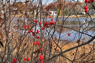 329 Tickle Rd, Westport, MA 02790 - Photo 35